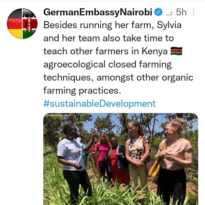 International representation